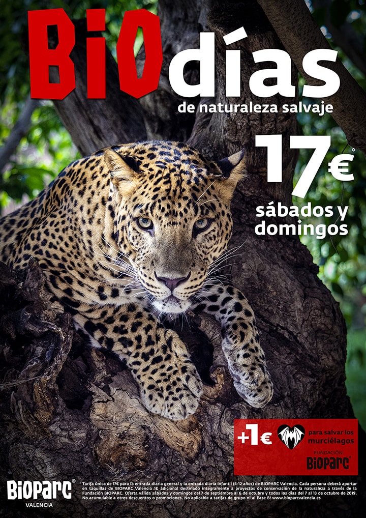 Bioparc Valencia, promoție bilete cu reducere, toamna 2019